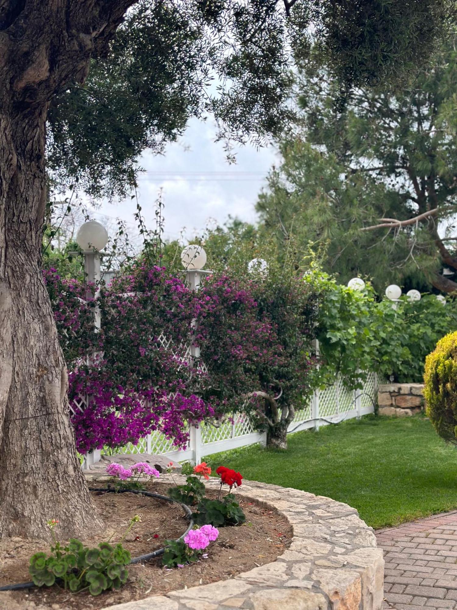 Amnisiades Apartments Karteros Dış mekan fotoğraf