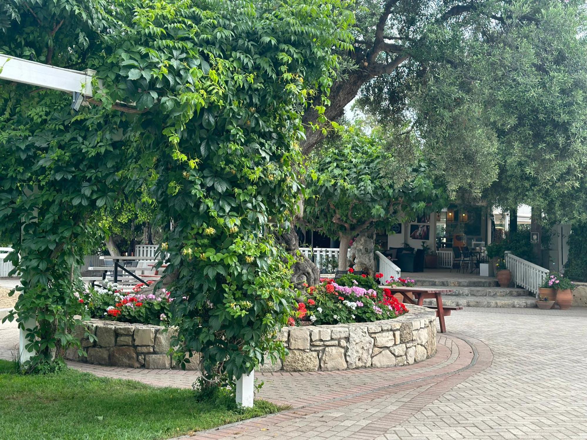 Amnisiades Apartments Karteros Dış mekan fotoğraf